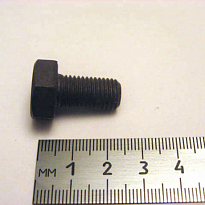 Болт М10*1,25*19 дифференциала ОАО«БелЗАН» 21010-2403021-008 (упак 10шт)